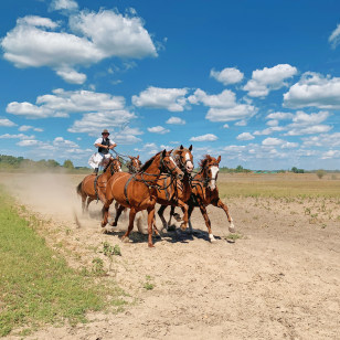 Puszta