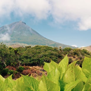 Montanha do Pico