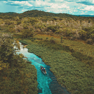 Escursione in barca, Pantanal
