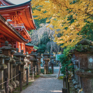 Santuario di Kasuga Taisha, Nara