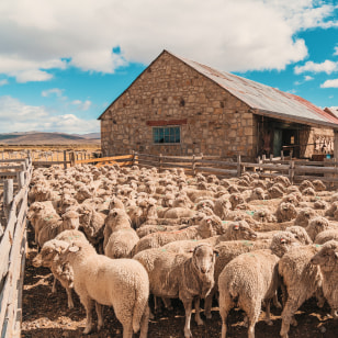 Ranch in Patagonia