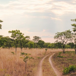 Parco Nazionale Kafue