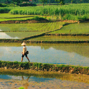 Riserva Naturale di Pu Luong