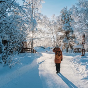 Yll&auml;s