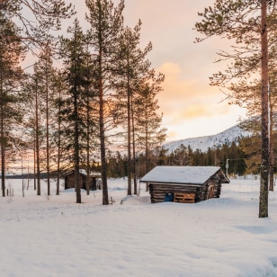 Yll&auml;s