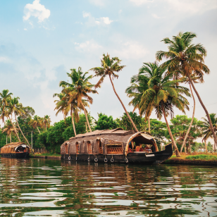 Kettuvallarm nei canali delle Backwaters
