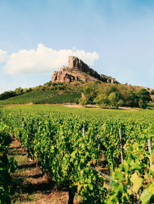 Vigneti a Macon