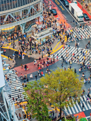 Incrocio di Shibuya, Tokyo