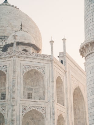 Dettaglio del Taj Mahal, Agra