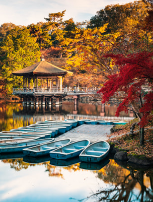 Parco di Nara