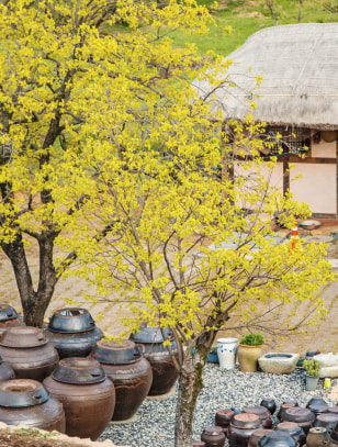 Villaggio nakaneupseong, Suncheon