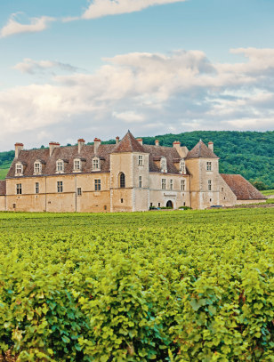 Castello di Clos de Vougeot