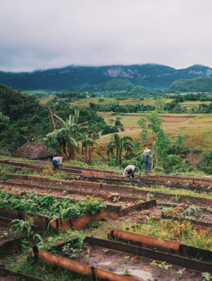 Valle del Silencio, Viñales