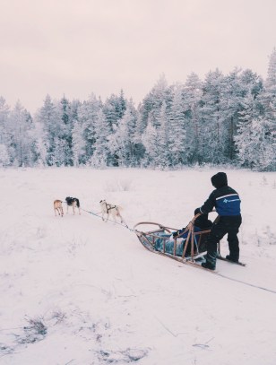 Escursione in slitta con gli husky