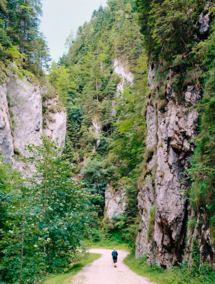 Zarnesti Gorge