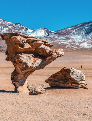 Arbol de piedra