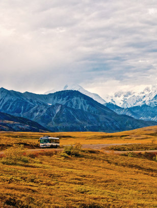 Parco nazionale di Denali
