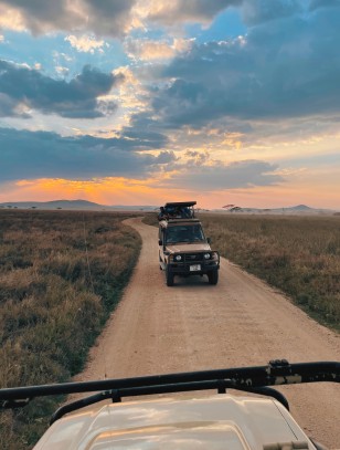 Safari nel Parco Nazionale Serengeti