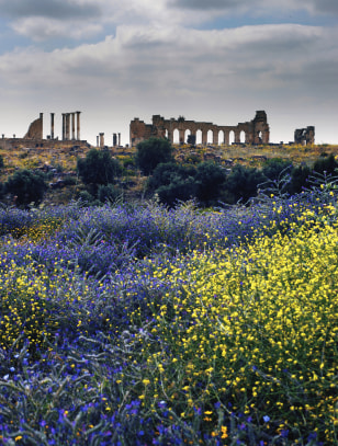 Volubilis &copy; Michele Dalla Palma