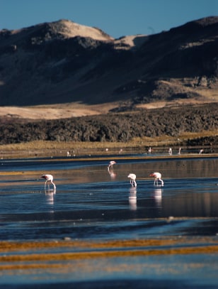Riserva Nazionale Eduardo Avaroa &copy; Michele Dalla Palma