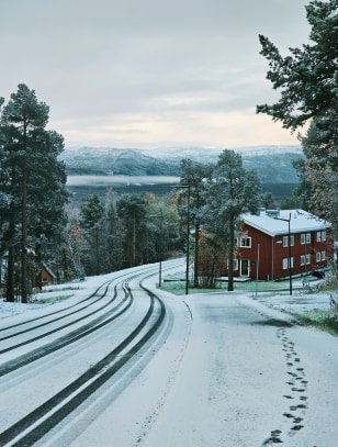 Alta