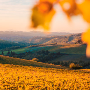 Colline del Chianti
