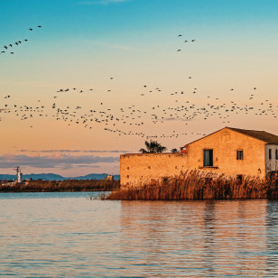 Parco Nazionale dell'Albufera al tramonto