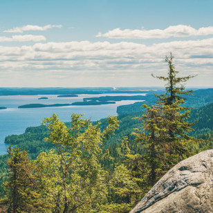 Vista dalla collina Ukko-Koli, Parco Nazionale di Koli