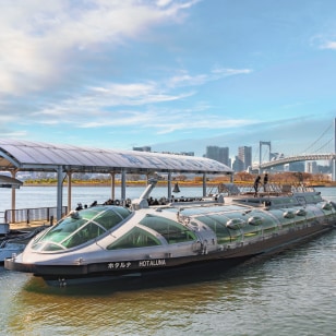 navigazione panoramica nella Baia di Tokyo