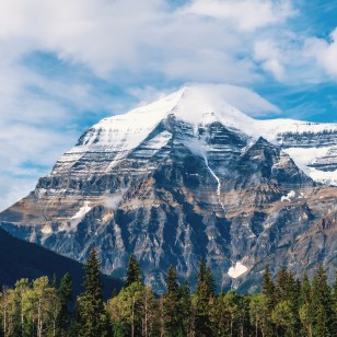 Monte Robson