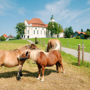Wieskirche