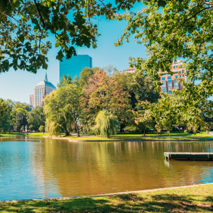 Giardino pubblico, Boston