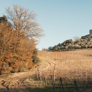 Monteriggioni