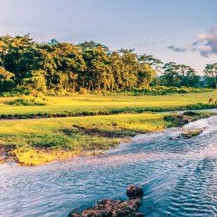 Parco Nazionale di Chitwan