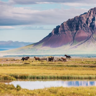 Penisola di Snæfellsnes