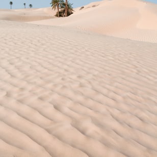 Dune di sabbia a Douz