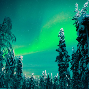 Aurora boreale a Rovaniemi