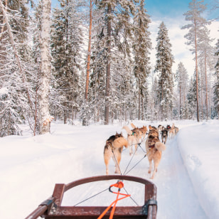 Escursione in slitta trainata da cani husky