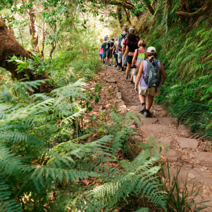 Trekking Levada das 25 fontes
