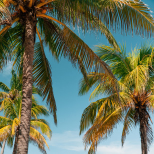 Varadero