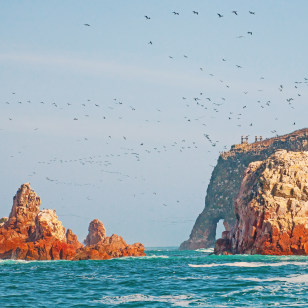 Isole Ballestas