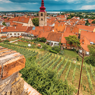 Ptuj