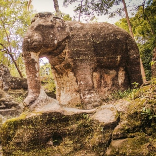 Foresta degli Elefanti di Kulen