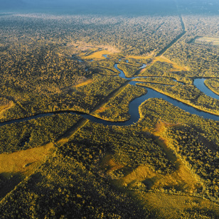 Pantanal