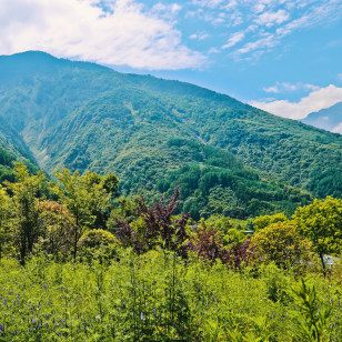 Parco Nazionale di Wolong