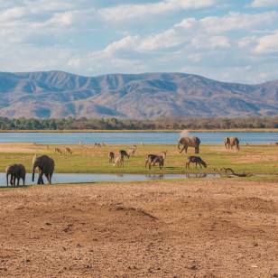 Parco Nazionale Basso Zambesi