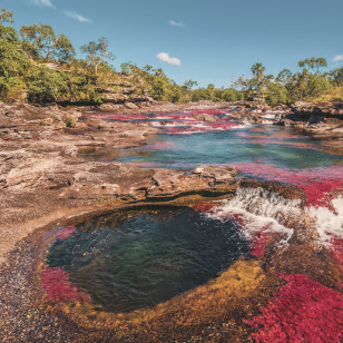 Fiume colorato, San Jos&eacute; del Guaviare