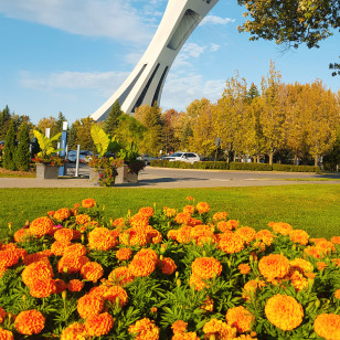 Montr&eacute;al