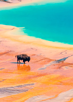 Grand Prismatic Spring, Yellowstone National Park