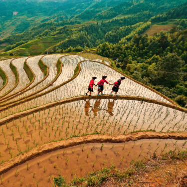 Terrazze di riso,Guilin